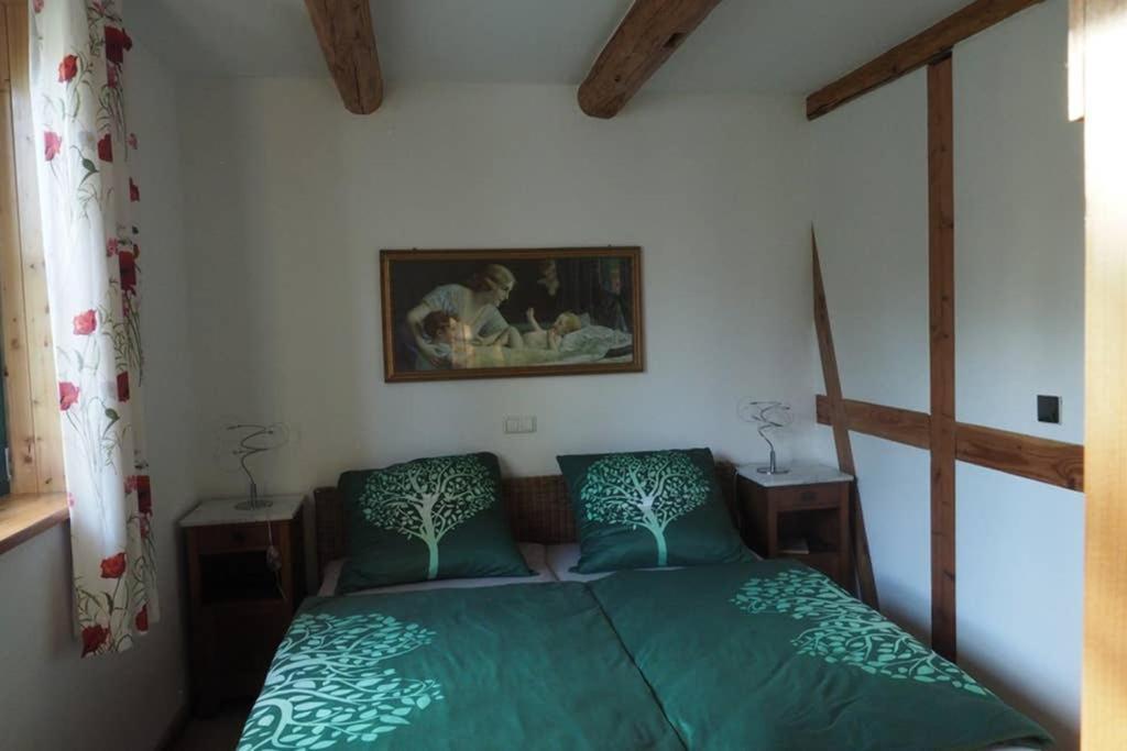 Schoene Gemuetliche Ferienwohnung Mit Kamin I Im Harz Darlingerode Exterior photo